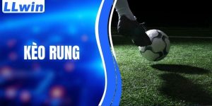 Kèo Rung – Tìm Hiểu Cơ Chế Hoạt Động Và Luật Áp Dụng