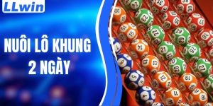 Hướng Dẫn Cách Nuôi Lô Khung 2 Ngày Hiệu Quả Nhất Từ LLWIN